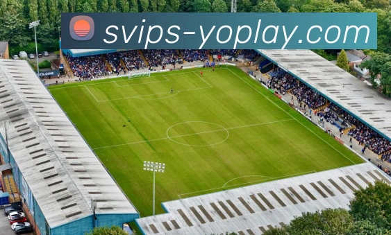 YOPLAY电子官网平台生态图