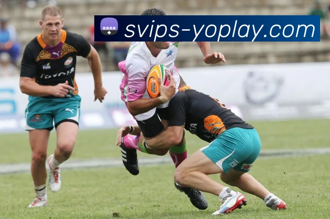 YOPLAY电子官网APP 封面图