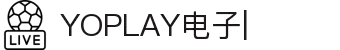 YOPLAY电子·(中国区)官方网站